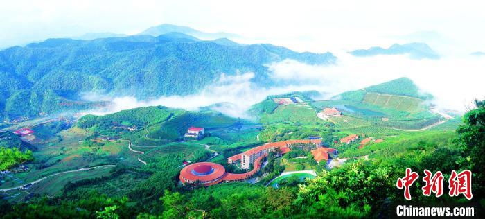 明年廣東將建設1600個森林鄉村